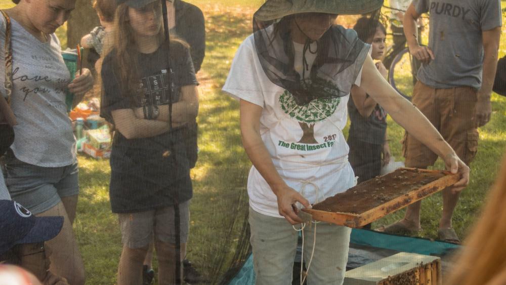 Graduate training program in pollinator ecology gets a boost with USDA